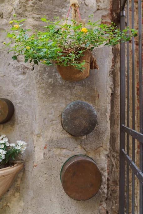 Corte Paolina - Charming Courtyard Inside Lucca Exterior photo